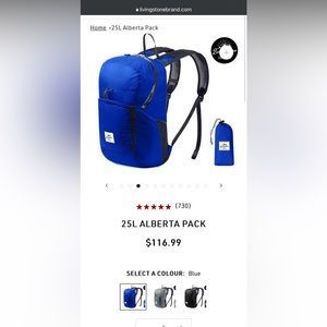 Livingstone brand 25L compact backpack